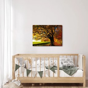 Egy őszi fa képe (70x50 cm)