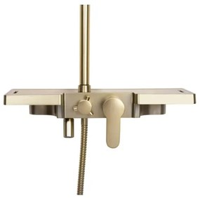 REA-P4121 - BRAVO zuhanyszett csapteleppel, szálcsiszolt arany