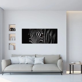 Zebra képe (120x50 cm)