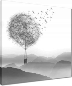 Vászonkép 40x40 Pitypang pitypang