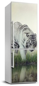 Hűtőre ragasztható matrica Fehér tigris FridgeStick-70x190-f-84071201
