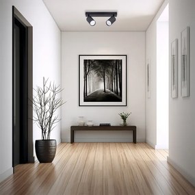 Spotlámpa 2xGU10/35W/230V fekete