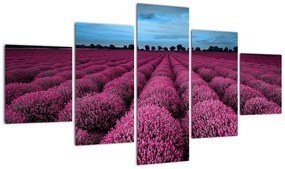 Modern képek - virágok  (125x70cm)