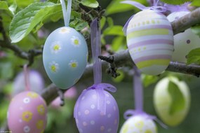 Poszter 30x20cm Húsvéti tojások lógnak az ágakon 3, Assaf Frank