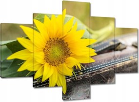 Vászonkép 100x70 Napraforgó a bőröndben