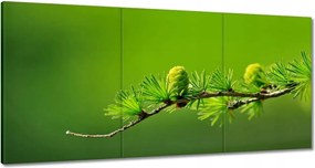 Festmények 120x60 Fa Fák Kilátás