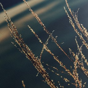 A füvek képe (70x50 cm)