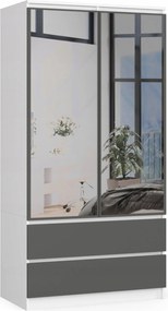 Szekrény S90 2D 2SZ 2 Tükör Clp Pk Fehér Szürke Akd