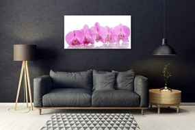 Modern üvegkép Rózsaszín orchidea virágok 100x50 cm