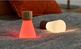 Natúr színű szabályozható asztali lámpa (magasság 13 cm) Pentagon – Gingko