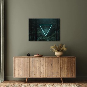 Kép - Neon háromszög a dzsungelben (üvegen) (70x50 cm)