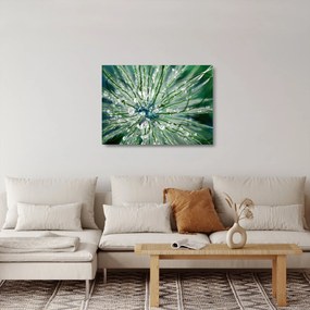 Üveg kép - Makro kép egy virágról (70x50 cm)