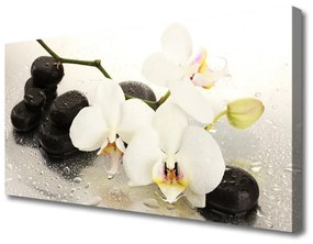 Vászonkép falra Szép virág orchidea 100x50 cm