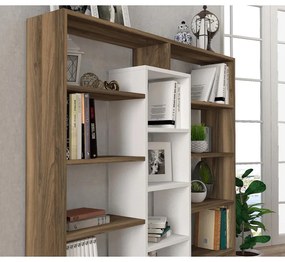 könyvespolc Ample - Walnut, White