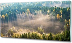 Fotótapéta üvegfalra Holland erdő 125x50