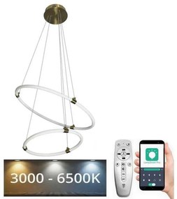 NEDES LED dimmelhető csillár zsinóron LED/30W/230V 3000-6500K + távirányítás ND3727