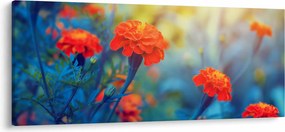 Kép - Narancssárga virágok (120x50 cm)