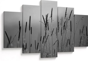 Kép - Fűszálak (150x105 cm)