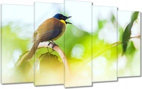 Vászonkép 100x60 Madarak