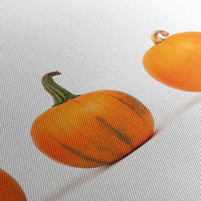 Sütőtök képe (órával) (90x30 cm)