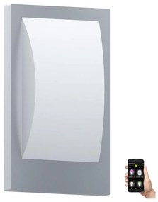 Eglo 33569 - VERRES-C LED kültéri fali lámpa LED/9W/230V IP44