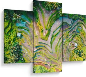 A rizsföldek képe madártávlatból (90x60 cm)