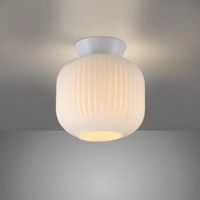 Schöner Wohnen 13574-16 - Mennyezeti lámpa NAMI 1xE27/25W/230V átm. 20 cm fehér