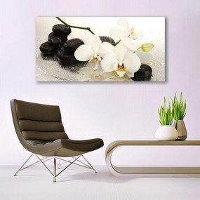Vászonkép falra Szép virág orchidea 100x50 cm