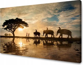 Vászonkép Emberek az elefántokon Naplemente Afrika Szavanna 120x70 cm