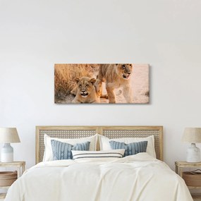 Egy oroszlán képe (120x50 cm)