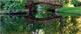 A folyó képe (120x50 cm)