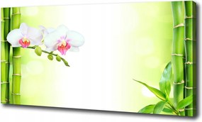 Vászonkép Orchidea és bambusz 120x60 cm