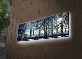 Vászonkép, 30×90 cm – 3090DACT-37
