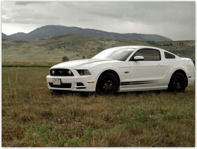 Poszterek 40x30 Fehér Ford Mustang