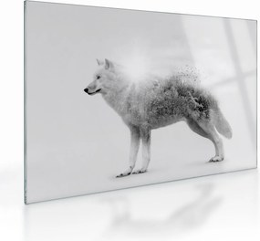Kép - Vad tájat tükröző sarkvidéki farkas, fekete-fehér (üvegen) (70x50 cm)