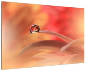 Virágos harmatcsepp képe (90x60 cm)