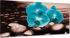 Vászonkép 115x55 Türkiz orchidea