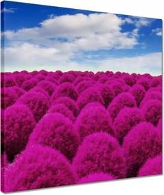 Vászonkép 40x40 Kifejező rét Tájkép