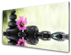 Akril üveg kép Szép virág a falon 100x50 cm