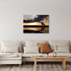 Üveg kép - Lovas egy lovon naplementében (70x50 cm)