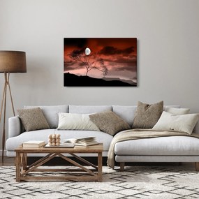 Kép - Hold megvilágítja az éjszakát (90x60 cm)