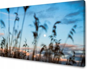 Vászonkép Természet Mező Rét Napfelkelte 100x60