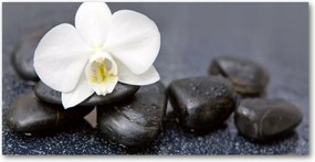 Fotó vászonkép edzett üveg Orchidea 140x70