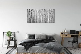 Üvegképek Fekete-fehér nyír 125x50 cm