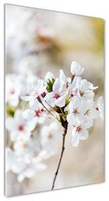 Egyedi üvegkép Cseresznye virágok osv-100965392