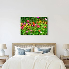 Réti virágok képe (90x60 cm)