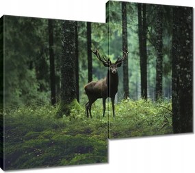 Vászonkép 80x70 Szarvas az erdő közepén
