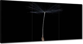 Vászonkép 180x90 Pitypang Virág Virágok