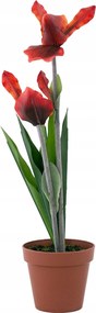 Mesterséges Orchidea cserépben piros 31cm magas