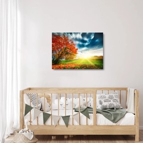 Napsütésben fürdő táj képe (üvegen) (70x50 cm)